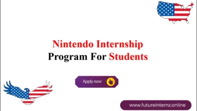 Nintendo Internship Program