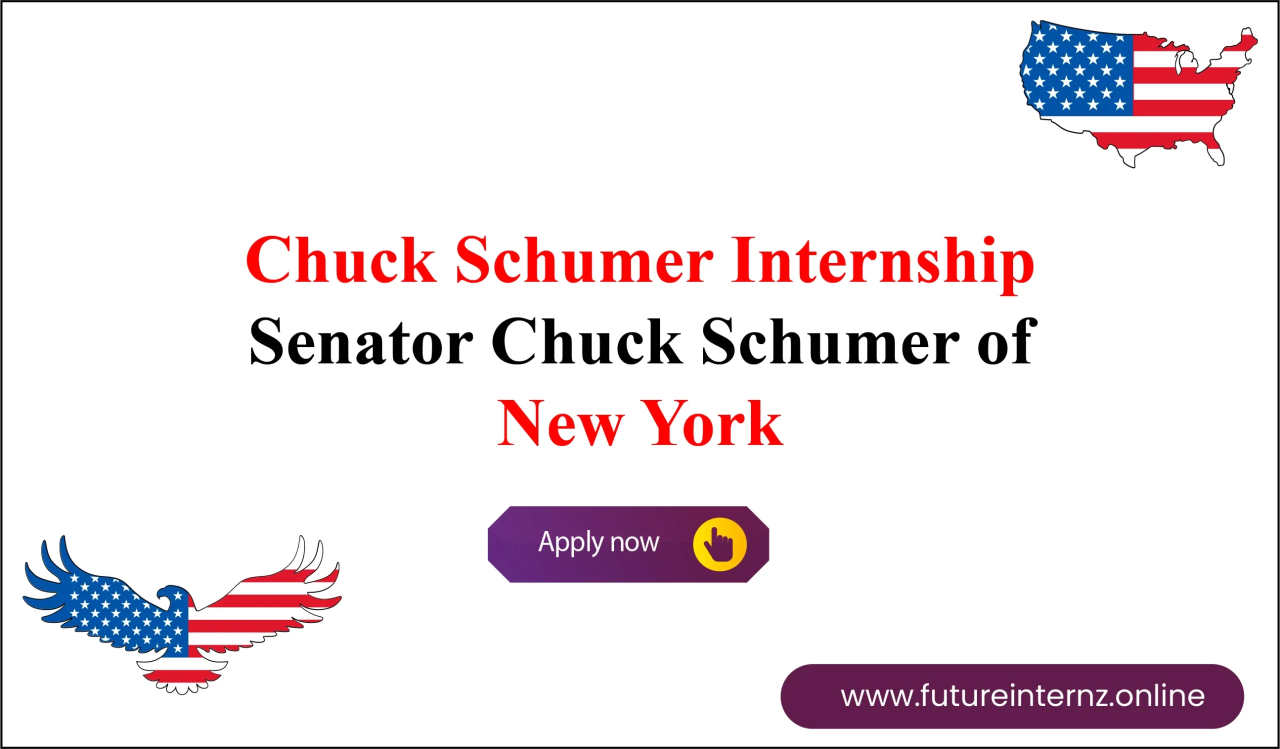 Chuck Schumer Internship