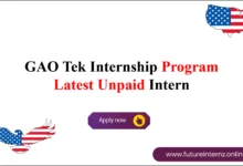 GAO Tek Internship