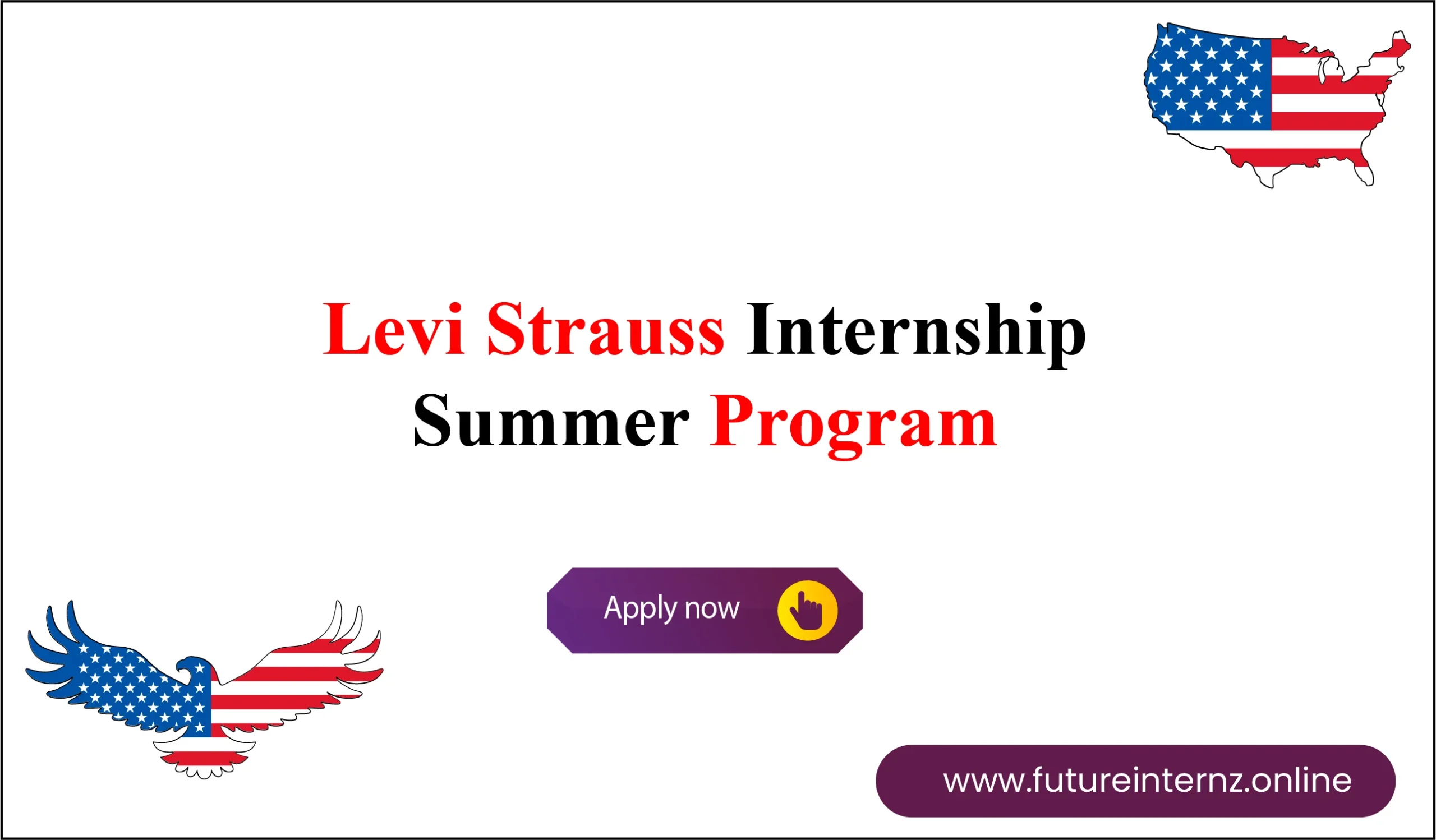 Levi Strauss Internship