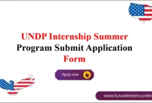 UNDP Internship