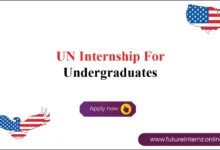 UN Internship