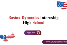 Boston Dynamics Internship