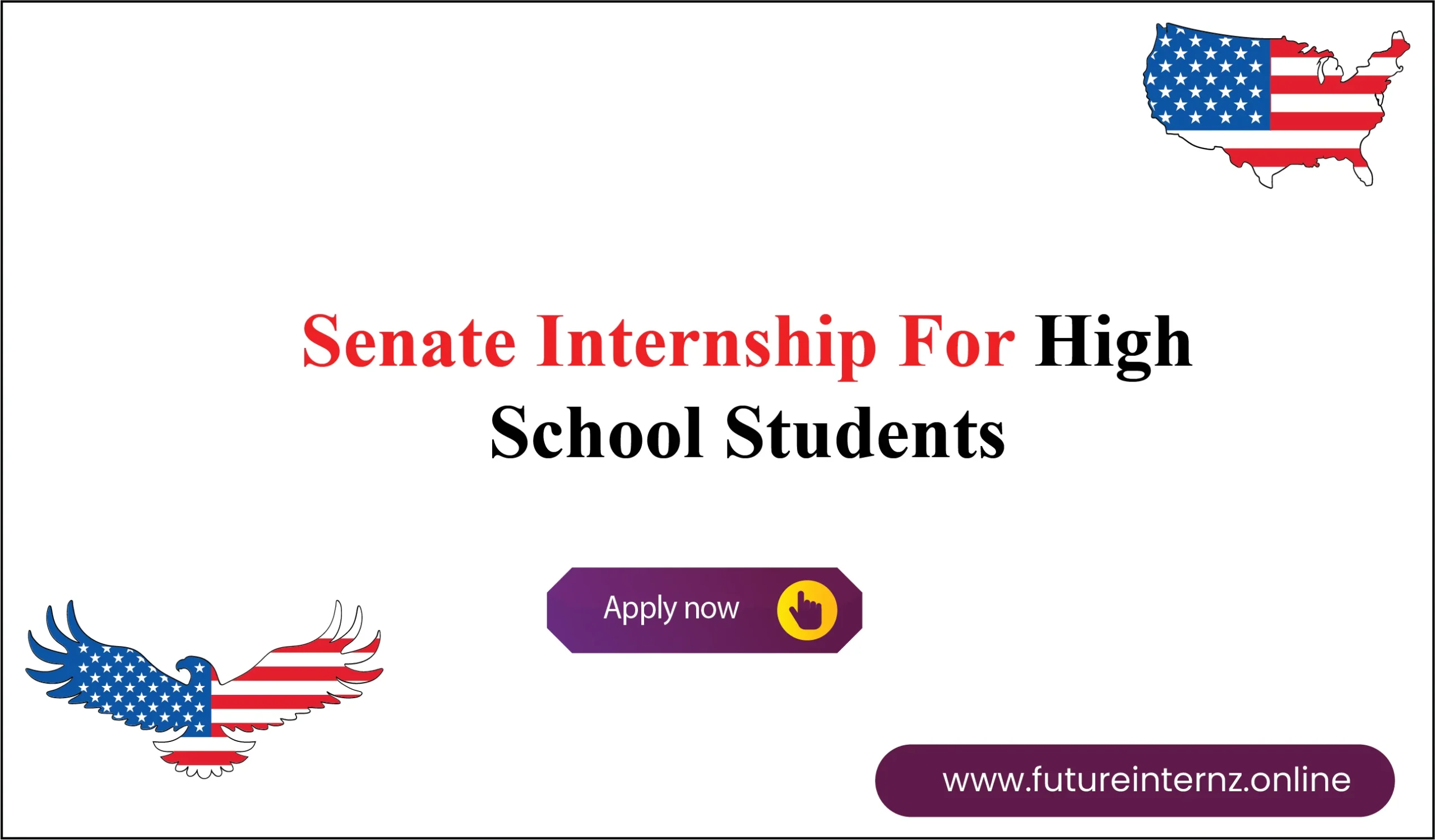 Senate Internship